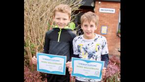 Two young Tipperary pupils achieve 'Word Millionaire' status - Well done boys