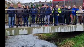 Water quality advocates visit River Ara walk in Tipperary Town