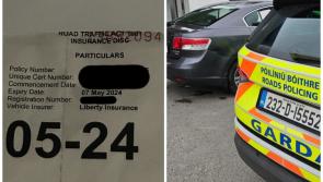 Fake insurance disc draws high praise from gardai as owner receives top marks for effort