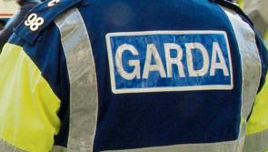 Suspended sentences for men who verbally abused court garda in Thurles