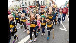 Public meeting this week as West Tipperary GAA club beings 5-Year Development Plan