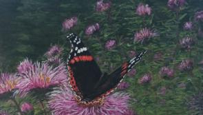 Unmissable Marlfield artist exhibition is set to take place in Clonmel library 