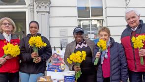 Big turnout of volunteers for Carrick-on-Suir's annual Daffodil Day collection 