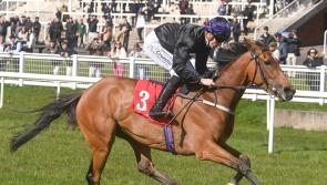 Tipperary trainers amongst the racing winners across the last week 