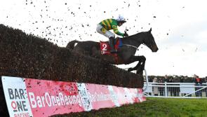Festival pointers will be on offer at bumper meeting this Saturday