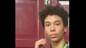 Gardaí stand down search for missing 14-year-old teen