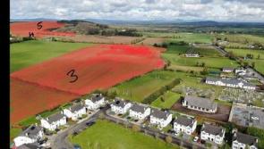 Tipperary community takes a unified stance in objecting to solar farm plan