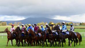 Horse racing returns to Clonmel with seven-race card at Powerstown Park