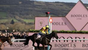 Mullins leading the way at Ayr with another title up for grabs