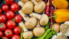 Food producers in Tipperary suffer under prolonged wet weather conditions