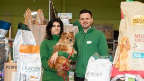 Maxi Zoo Ireland donates €200,000 to animal charities across the country 