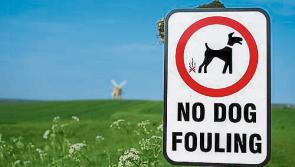 'Fines are needed' to curb dog fouling problem in Tipperary
