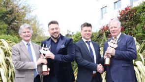 Talented Tipperary artists humbled to receive prestigious awards
