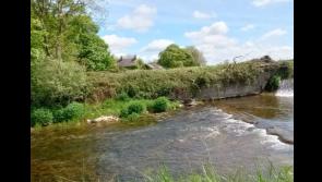 Popular river walk in big Tipperary town earmarked by Councillor for 'development' 