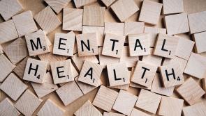 Centre in Tipperary provides safe haven for people with mental health challenges