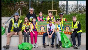 Tidy Towns group in Tipperary organised collection that filled 50 bags of litter