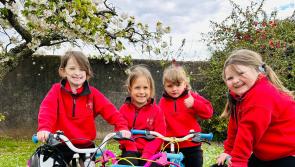 Scoil Ailbhe Progressive 25 Card Drive night proves to be a massive success!