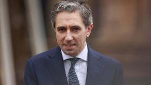 Taoiseach says politician's homes should be out of bounds after protest at his house