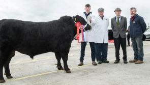 Tipperary success at Kilmallock