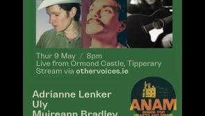 Music event at Tipperary castle to be live streamed worldwide 