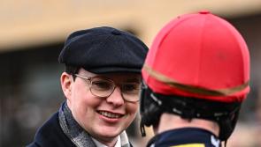 Joseph O'Brien looking for Je Zous to win  €65,000 contest today at Naas
