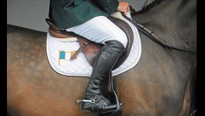 Tipperary clubs benefit from state funding for equestrian organisations