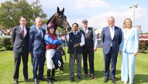 PICTURES: Cashel Palace Derby Trial Stakes at Leopardstown -check it out!