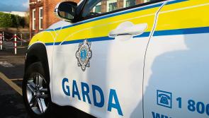 'Criminals are everywhere' - Pickpocket steals from elderly woman asleep in Irish hospital