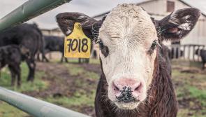 Tipperary hotel to host MEPs for critical agriculture debate 