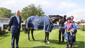 Cashel Palace Hotel Derby Trial Stakes at Leopardstown Racecourse a huge success 