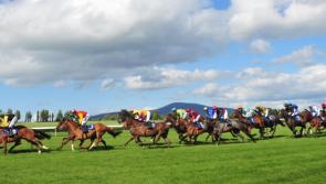 Clonmel Racecourse hosts eight-race card on Thursday evening