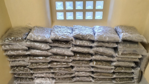 Gardaí seize €1m worth of vacuum-packed cannabis from warehouse in Meath