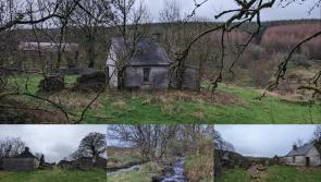 PICTURES: Tipperary's loneliest cottage up for sale for almost €100,000 for big reason 
