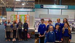 Tipperary schools showcase their scientific creations at ESB Science Blast 2024