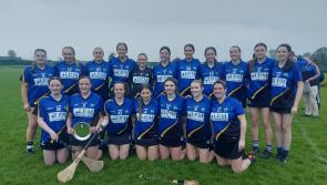 CAMOGIE: Slieve Felim Raparees crowned Tipperary county champions!