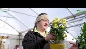 WATCH: Tipperary's Charlotte Duff White - finalist at the Teagasc/ FBD Student of the Year awards