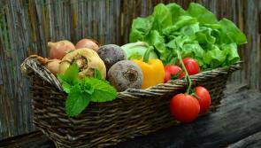 Great selection available at Tipperary farmers market this Saturday 