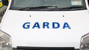 Burglars fled on foot after being disturbed breaking into rural Tipperary home
