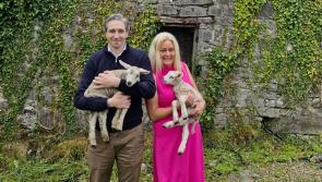 Taoiseach Simon Harris joins Nenagh County Council candidate for a day of canvassing