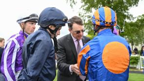 Tipperary trained City Of Troy is the best backed horse in Breeders’ Cup history