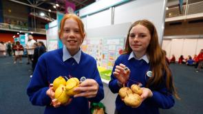 PICTURES: Check out the Tipperary schools that participated in the 'ESB Science Blast'