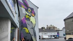 Eight Local Election candidates contest four seats in Roscrea-Templemore 