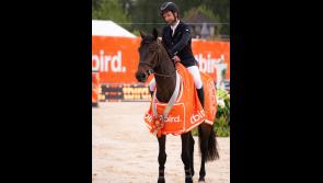 Laois and Tipperary showjumpers doing the business on the international stage 