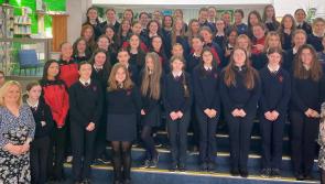 June is Fostering Awareness Month - Tipperary school and Tusla’s TY Fostering Project