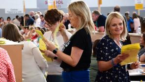 Adjustment in Carrick-on-Suir LEA first count announced 