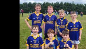 They may have lacked in numbers but south Tipperary boys showed great determination