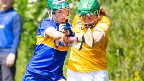 Tipperary defeat Antrim despite ringing the changes last Saturday