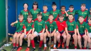 Field of Legends - County hurling title for south Tipperary hurling school