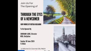Art exhibition will be part of Junction Arts Festival in Tipperary
