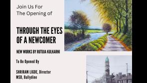 Check out Through The Eyes of a Newcomer art exhibition in Clonmel gallery 